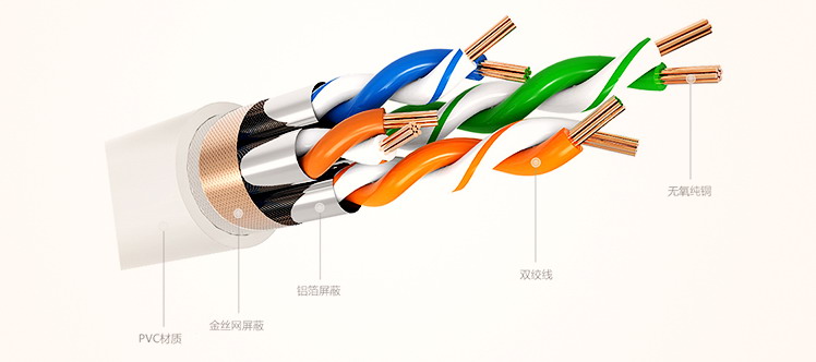 cat8-3.jpg cat8-3.jpg