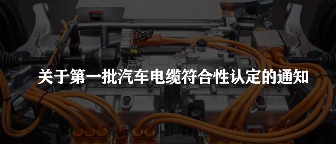 微信圖片_20240709103035.jpg 微信圖片_20240709103035.jpg